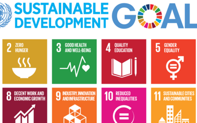 17 Nachhaltige Entwicklungsziele (SDGs)