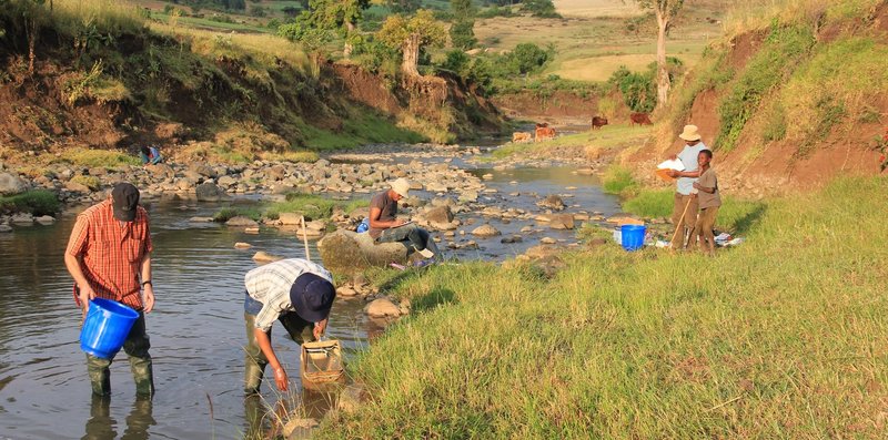 Two scientists looking for water quality and fish in a river in Ethiopia