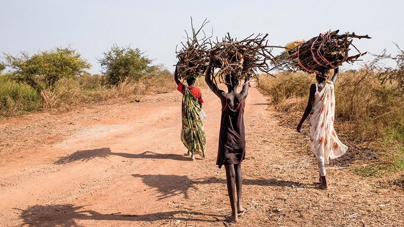 women collecting firewood in Uganda