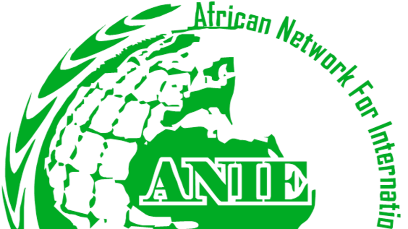 ANIE logo