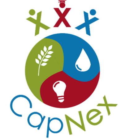 CapNex logo